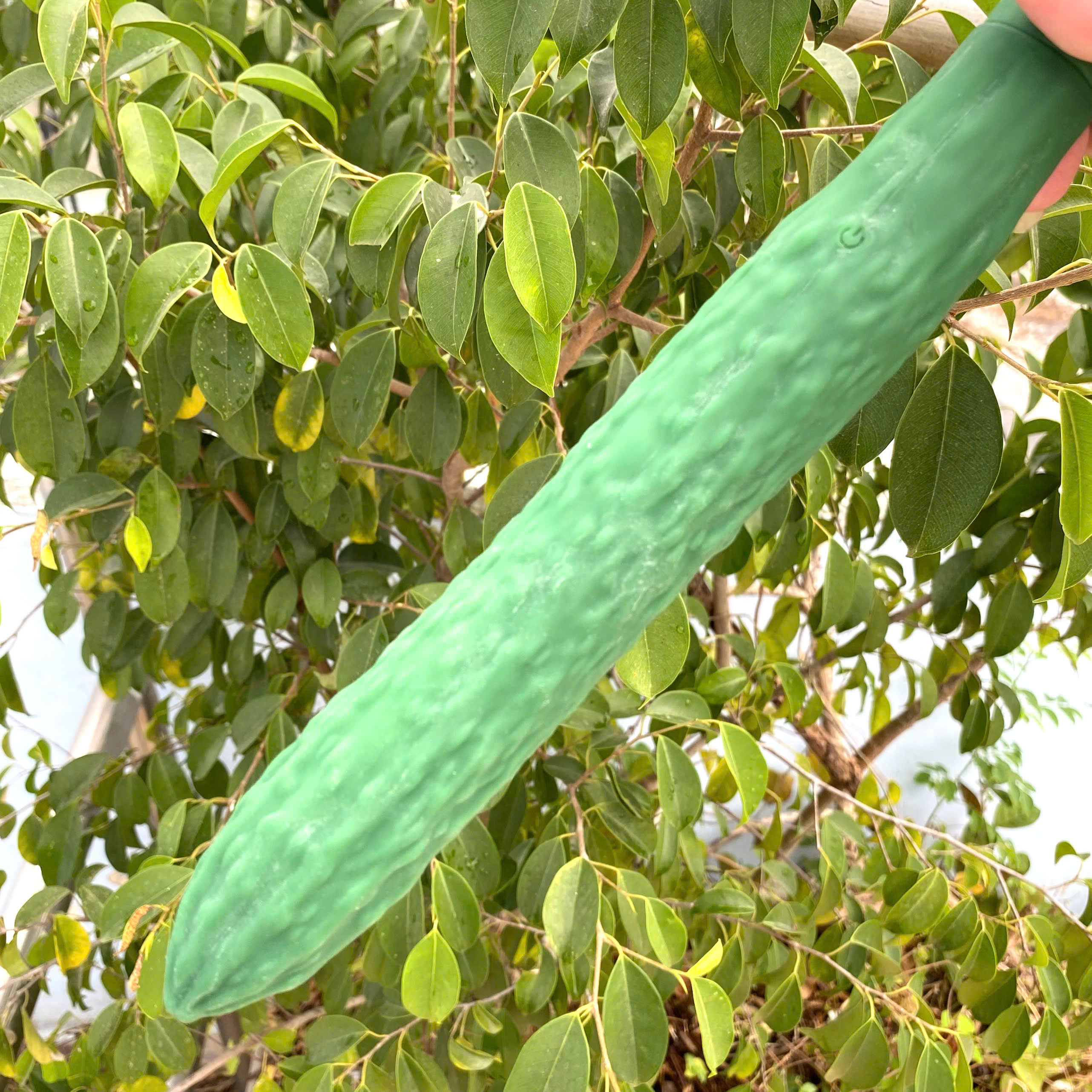 Cu giả nguỵ trang trái dưa leo  Cucumber 10 chế độ rung điểm G